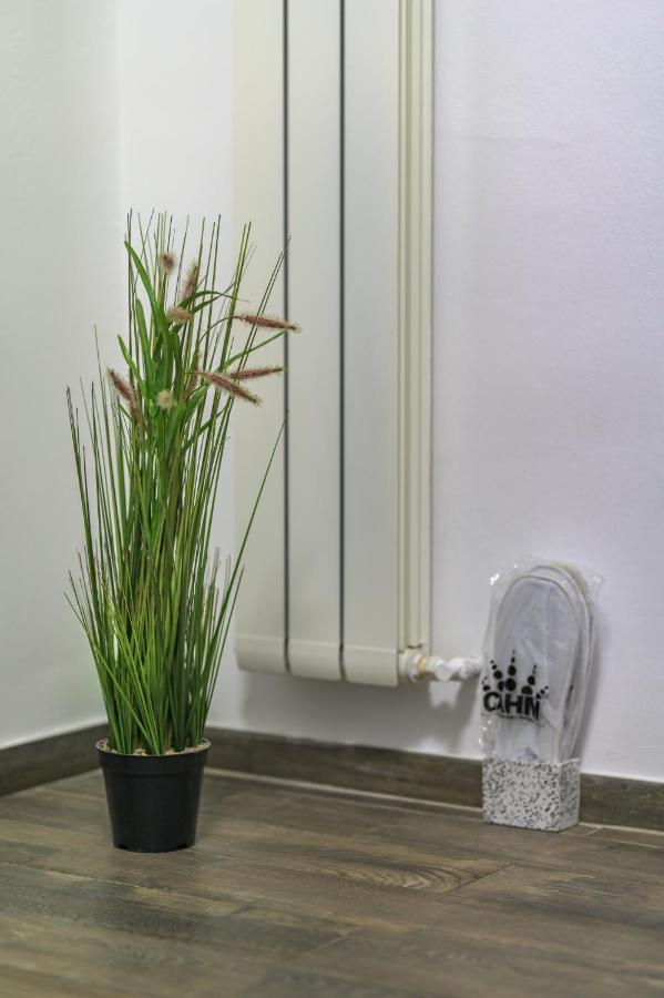 Apartment Queen ซีบิว ภายนอก รูปภาพ
